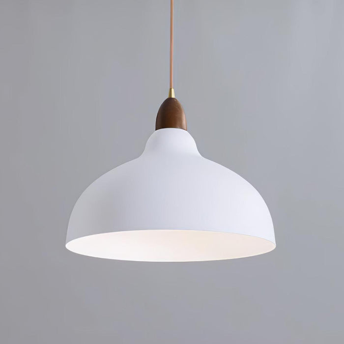 Natural Rustic Pendant Lamp-DWHOME