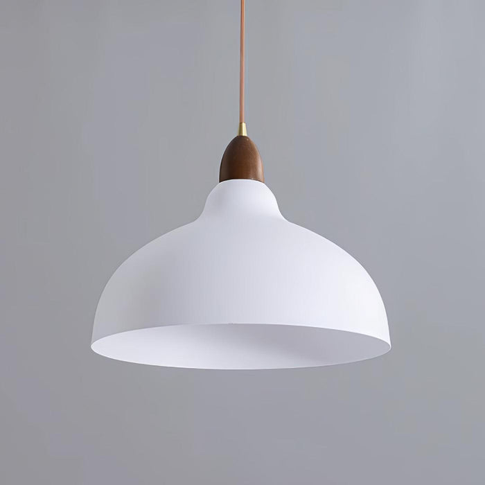 Natural Rustic Pendant Lamp-DWHOME
