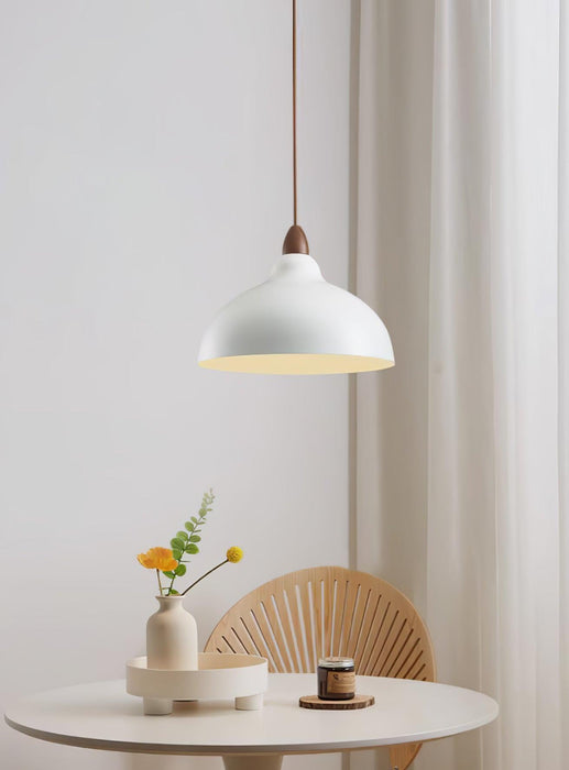Natural Rustic Pendant Lamp-DWHOME