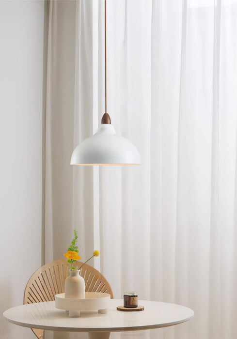 Natural Rustic Pendant Lamp-DWHOME