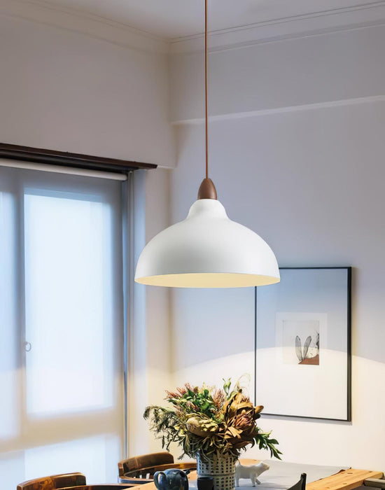 Natural Rustic Pendant Lamp-DWHOME