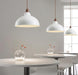 Natural Rustic Pendant Lamp-DWHOME