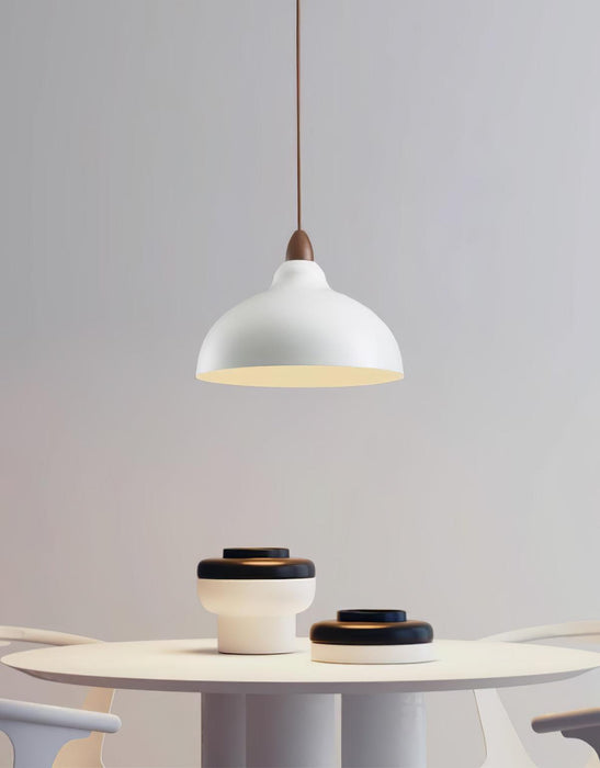 Natural Rustic Pendant Lamp-DWHOME