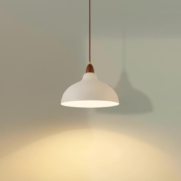 Natural Rustic Pendant Lamp-DWHOME