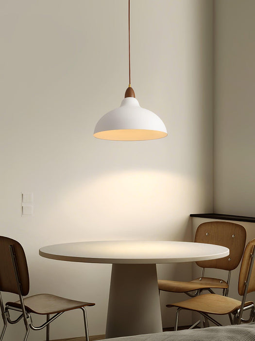 Natural Rustic Pendant Lamp-DWHOME