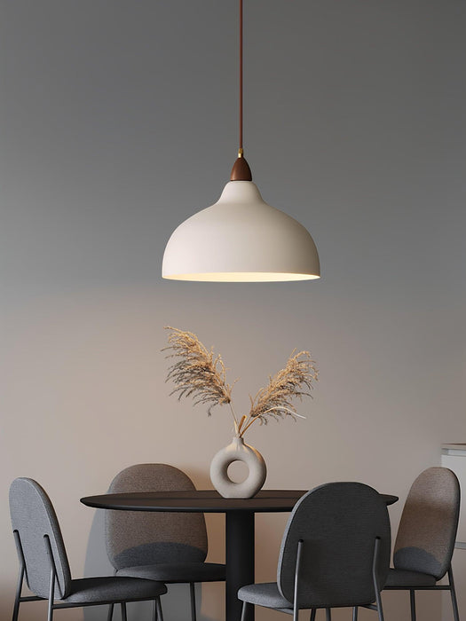 Natural Rustic Pendant Lamp-DWHOME