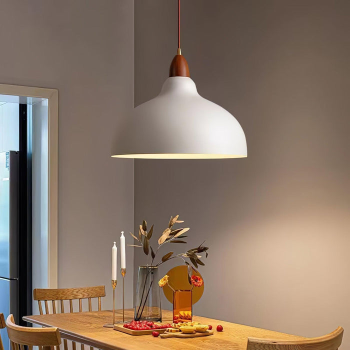 Natural Rustic Pendant Lamp-DWHOME