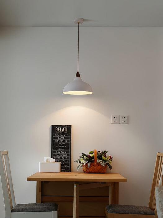 Natural Rustic Pendant Lamp-DWHOME