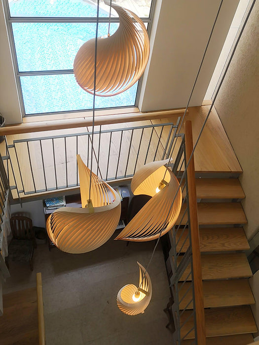 Nautilus Shell Pendant Light.