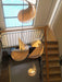 Nautilus Shell Pendant Light-DWHOME