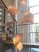 Nautilus Shell Pendant Light.