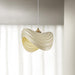 Navicula Pendant Light.