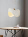 Navicula Pendant Light.