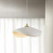 Navicula Pendant Light.