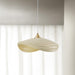 Navicula Pendant Light.