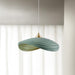 Navicula Pendant Light.