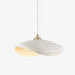 Navicula Pendant Light.