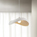 Navicula Pendant Light.