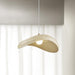 Navicula Pendant Light.