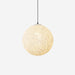 Nest Sphere Pendant Light.