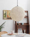 Nest Sphere Pendant Light.