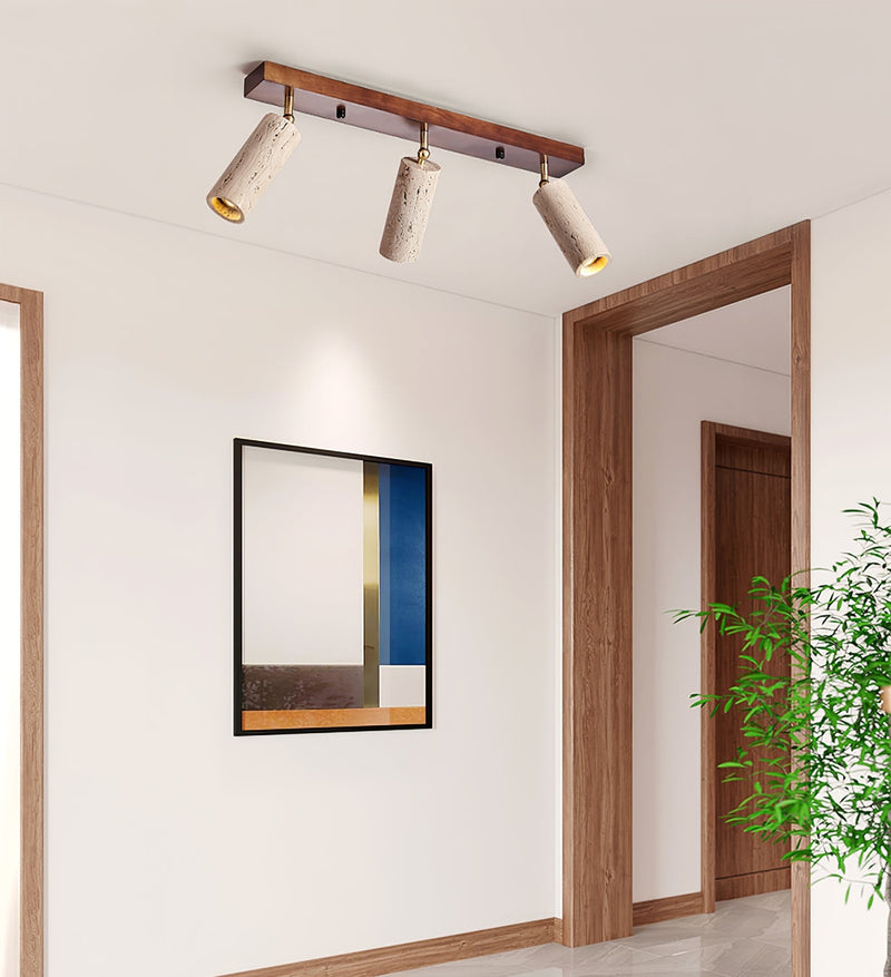 Nimbus Ceiling Spotlight-DWHOME