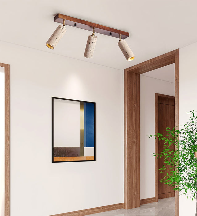 Nimbus Ceiling Spotlight-DWHOME