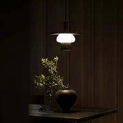 Noka Pendant Light-DWHOME