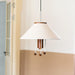 Octopus Pendant Lamp-DWHOME