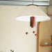 Octopus Pendant Lamp-DWHOME