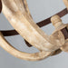 Odum Traditional Chandelier-DWHOME