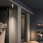 Oliver Tube Surface Downlight-DWHOME
