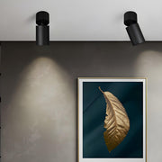 Oliver Tube Surface Downlight-DWHOME