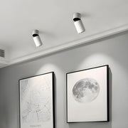 Oliver Tube Surface Downlight-DWHOME