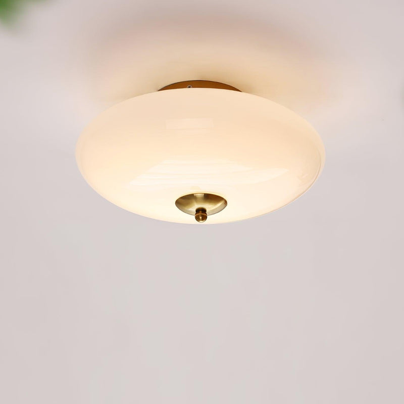 Opal Ceiling Lamp-DWHOME