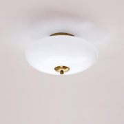 Opal Ceiling Lamp-DWHOME