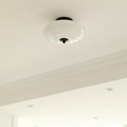 Opal Ceiling Lamp-DWHOME