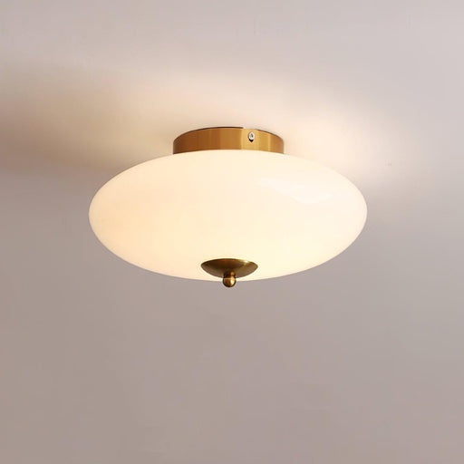 Opal Ceiling Lamp - DWHOME