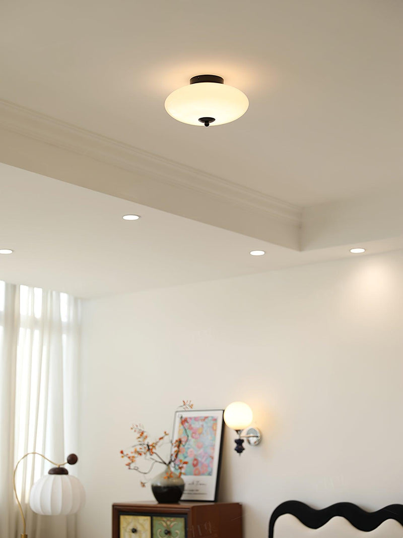 Opal Ceiling Lamp-DWHOME