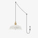 Miira Brass Pendant Swag Light.