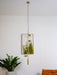 Orb Pendant Light-DWHOME