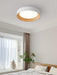 Oreen Ceiling Lamp.