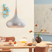 Orient Pendant Light-DWHOME