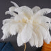 Ostrich Feather Brass Floor Lamp - DWHOME