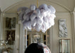 Ostrich Feather Chandeliers - Vakkerlight