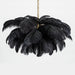 Ostrich Feather Chandelier - DWHOME