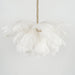 Ostrich Feather Chandeliers - Vakkerlight