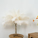 Ostrich Feather Table Lamp - Vakkerlight