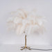 Ostrich Feather Table Lamp-DWHOME