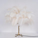 Ostrich Feather Table Lamp - Vakkerlight